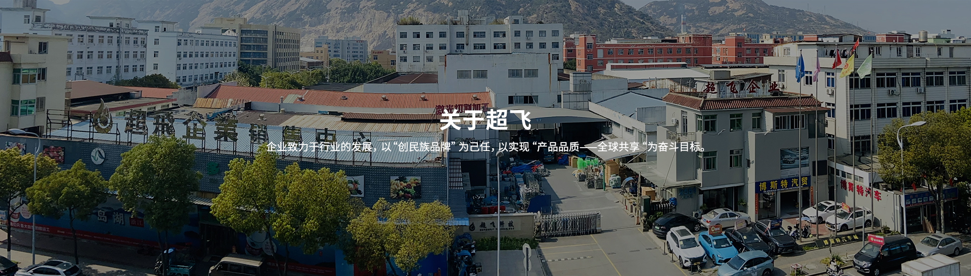 衛(wèi)生級止回閥,快裝閥門廠家